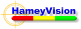 Hamey Vision Systems (logo)